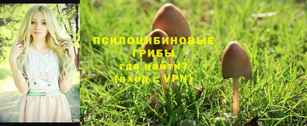 круглые Богородицк