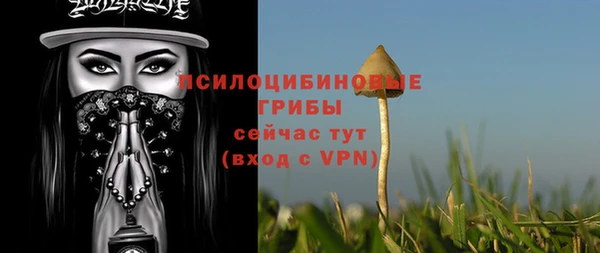марки lsd Бородино