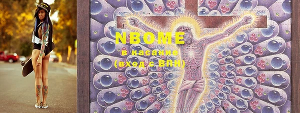 индика Бронницы