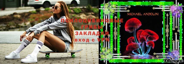гашик Семикаракорск