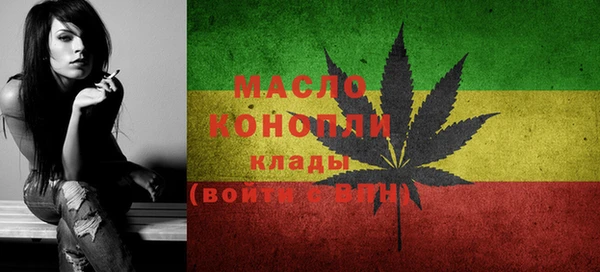 индика Бронницы