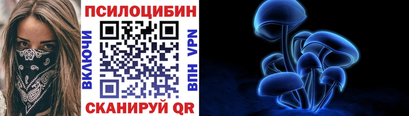 Псилоцибиновые грибы Psilocybe  как найти закладки  Шацк 